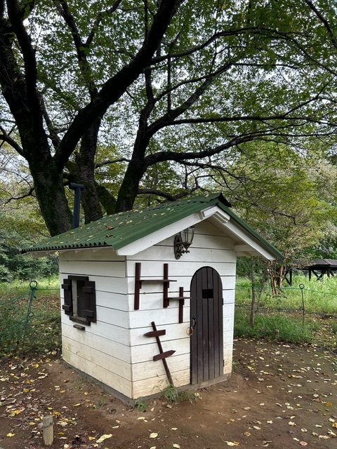 立川　昭和記念公園　ピクニック