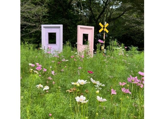 立川　昭和記念公園　ピクニック