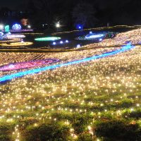 イルミネーション　バーベキュー　昭和記念公園