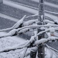 雪害　対策