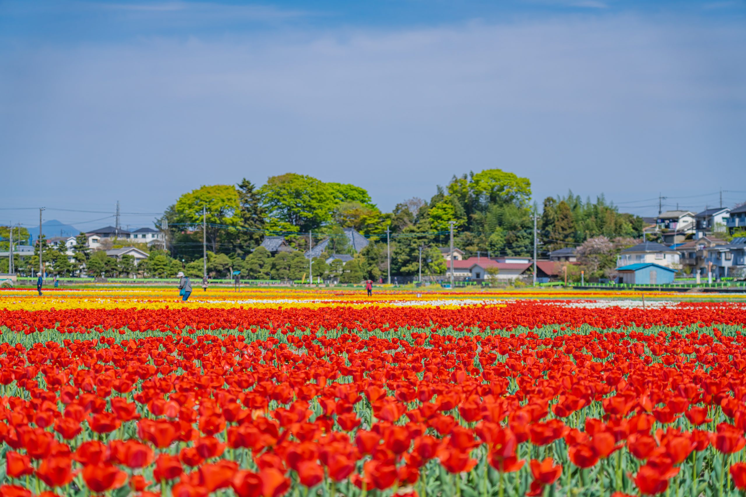 羽村市