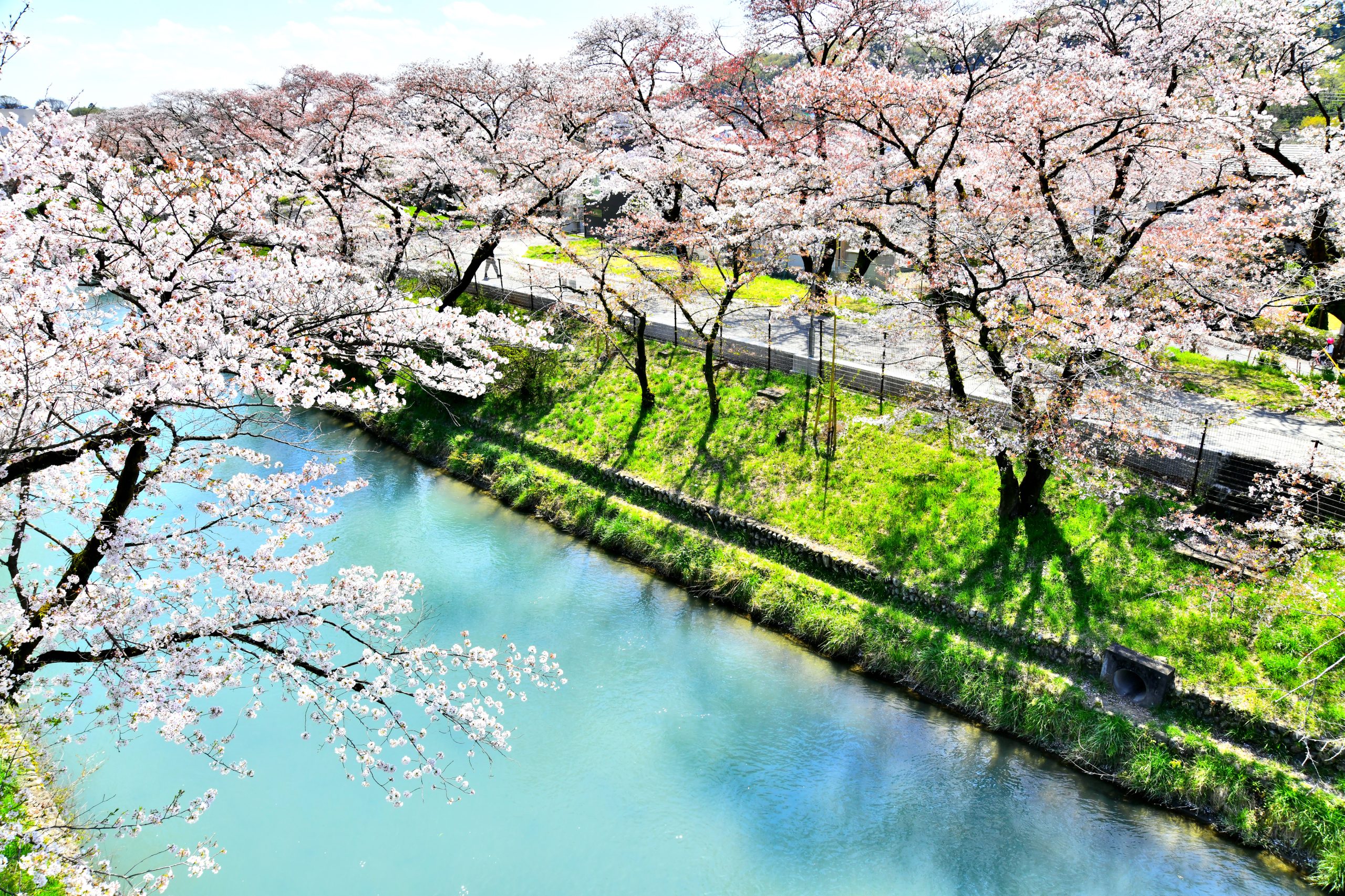 羽村市