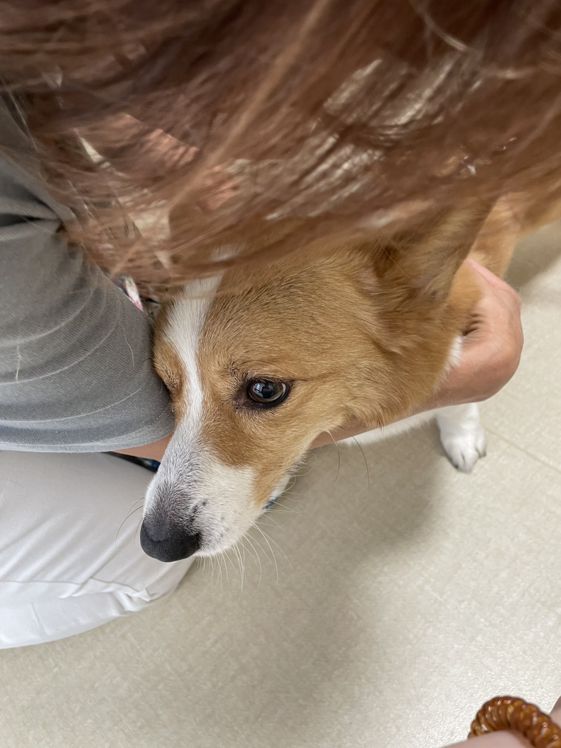 うみせんぱい