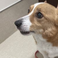 うみせんぱい
