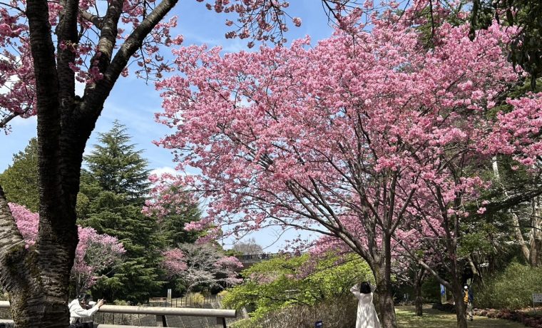 昭和記念公園