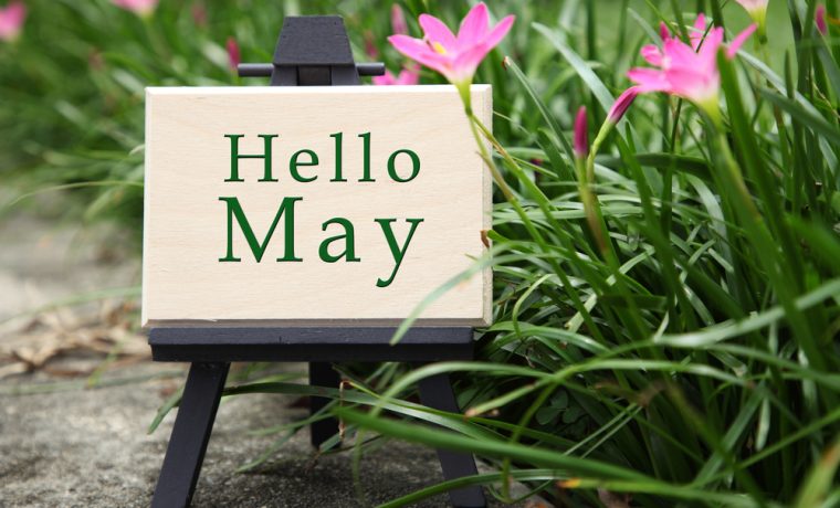 ５月