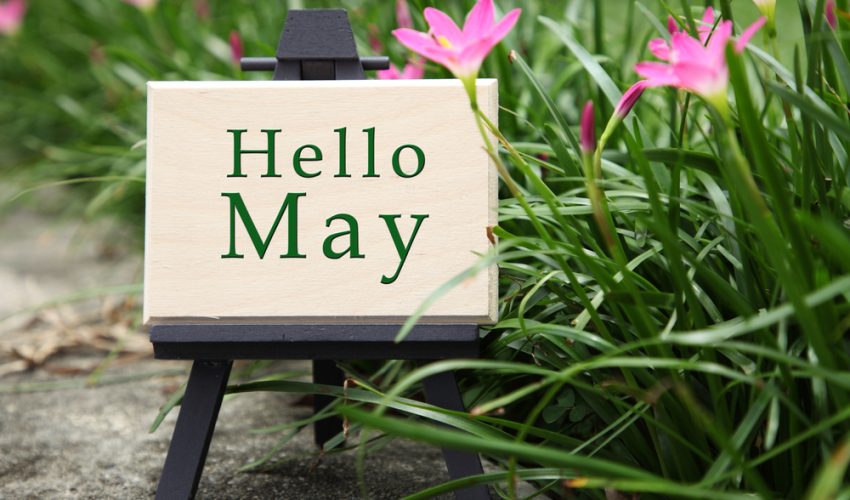 ５月