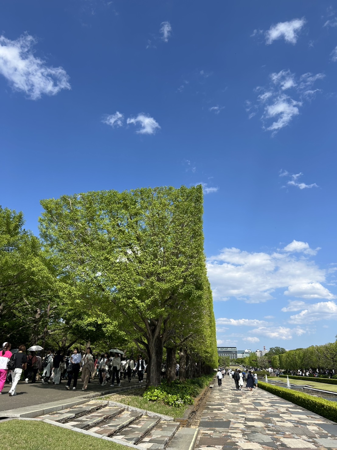 昭和記念公園