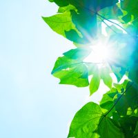 家庭用　太陽光発電