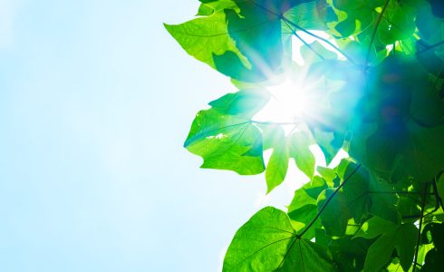 家庭用　太陽光発電
