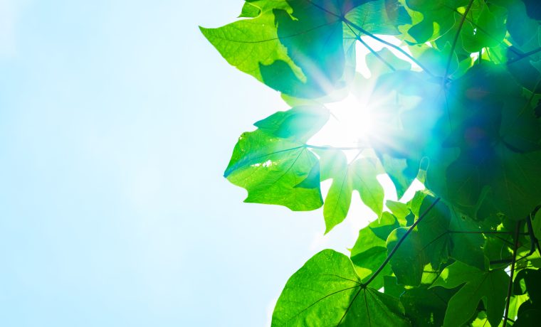 家庭用　太陽光発電