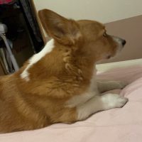 うみせんぱい