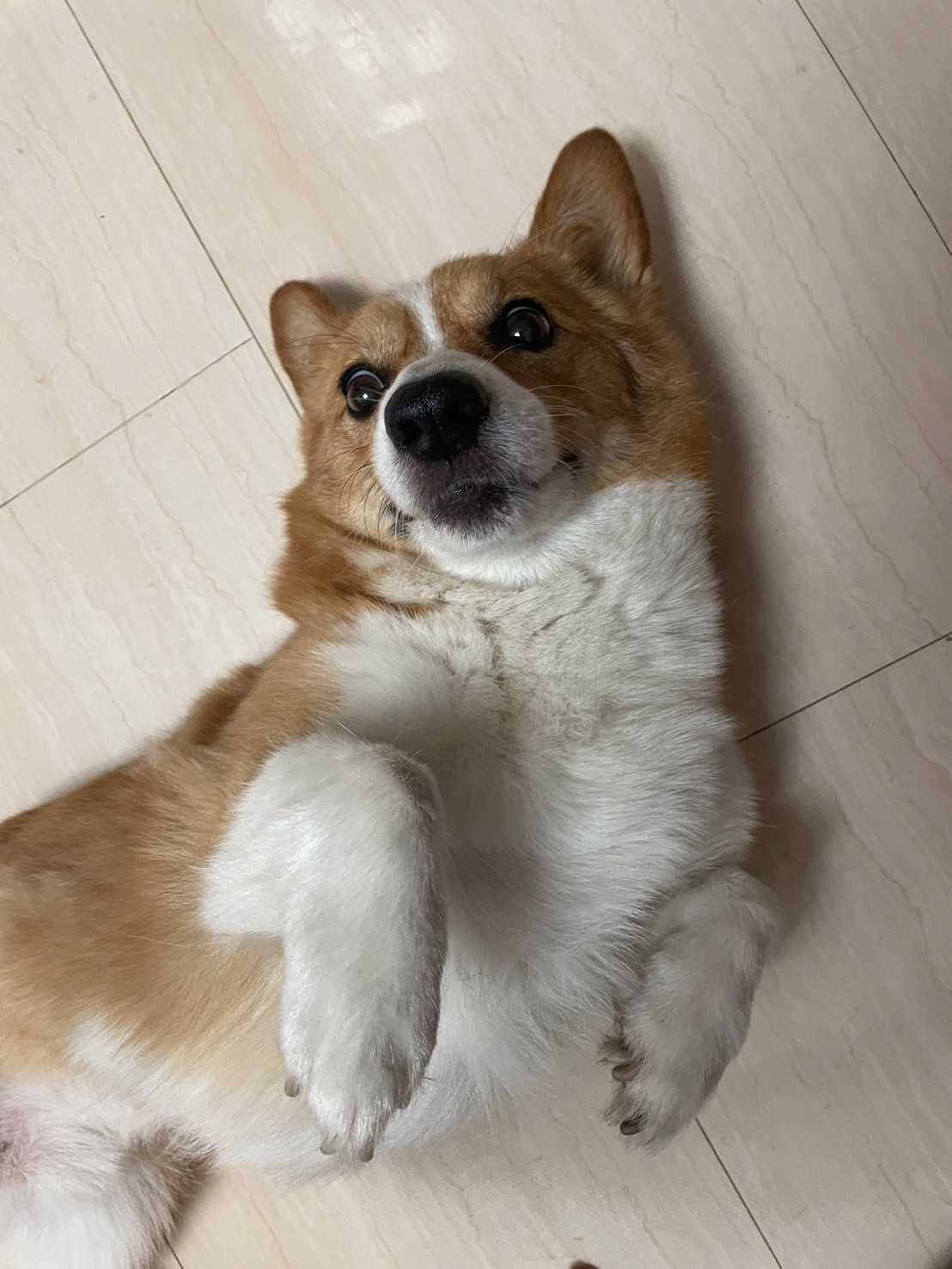 うみせんぱい