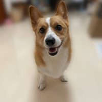 うみせんぱい