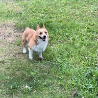 ＣＥＯうみせんぱい