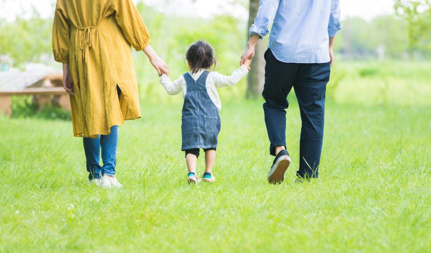 補助金　ランキング