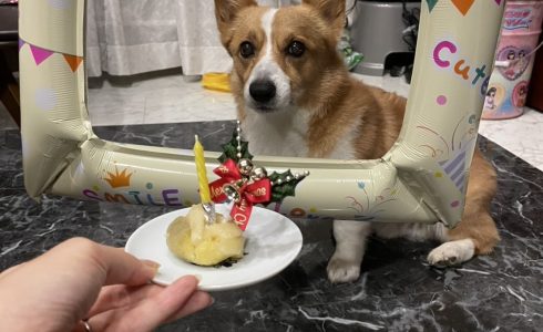 うみせんぱい