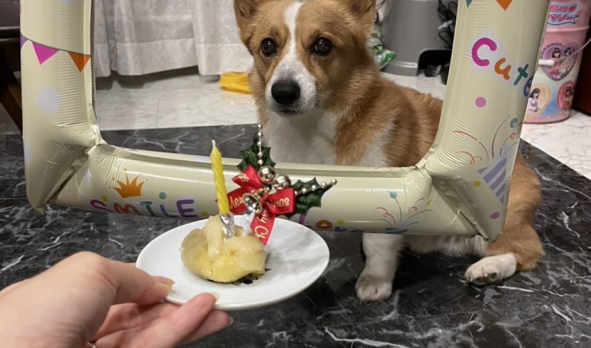 うみせんぱい