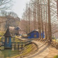 あけぼの子どもの森公園　飯能市