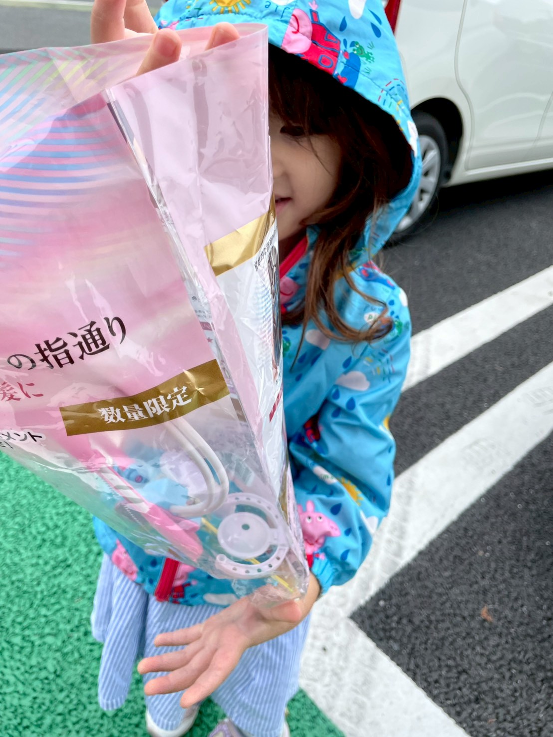 道の駅 おがわまち