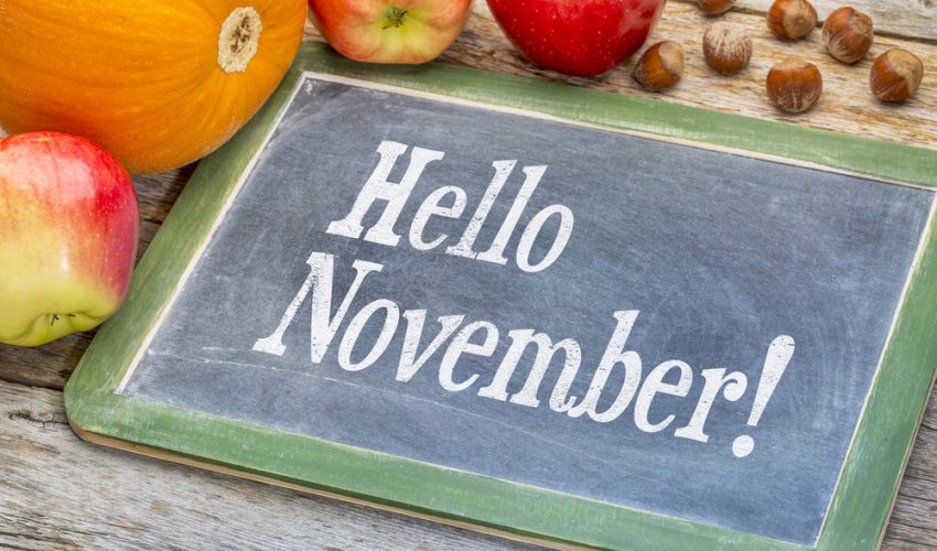 １１月