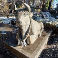 埼玉　白岡八幡神社